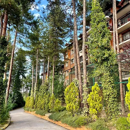 веирас * Velingrad