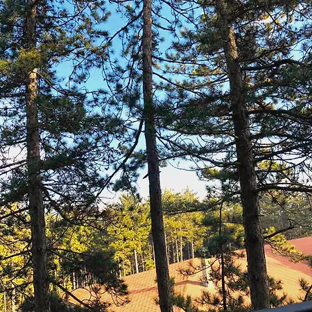 Lejlighed веирас Velingrad