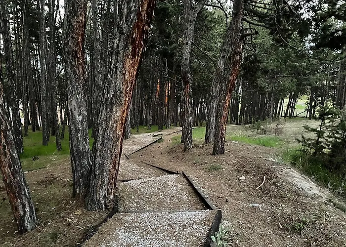 Апартаменты веирас Велинград