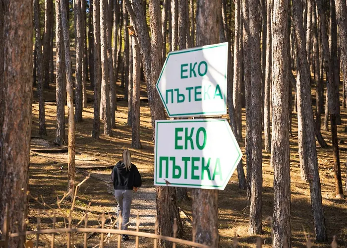 Апартаменты веирас