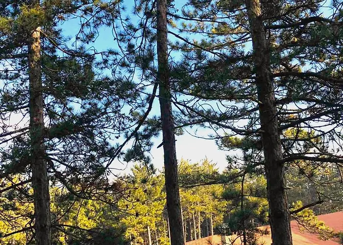 Апартаменты веирас Велинград